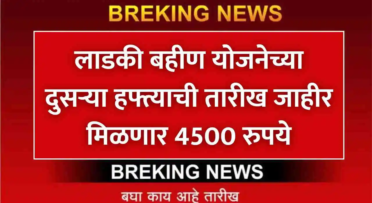 लाडकी बहीण योजनेच्या दुसऱ्या हफ्त्याची तारीख जाहीर मिळणार 4500 रुपये Ladki Bahin Yojana