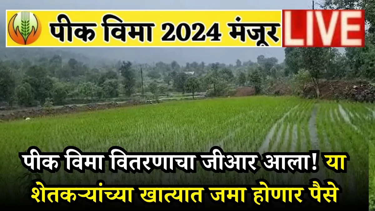 Pik Vima 2024 List